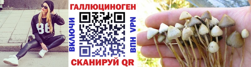 Псилоцибиновые грибы прущие грибы  Комсомольск 